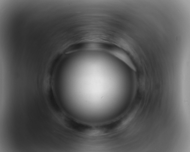 X0000088900356200706151852