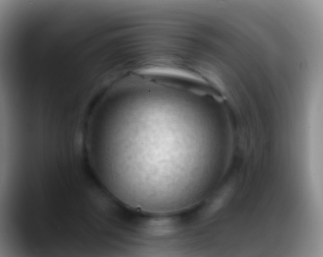 X0000088900357200706151852