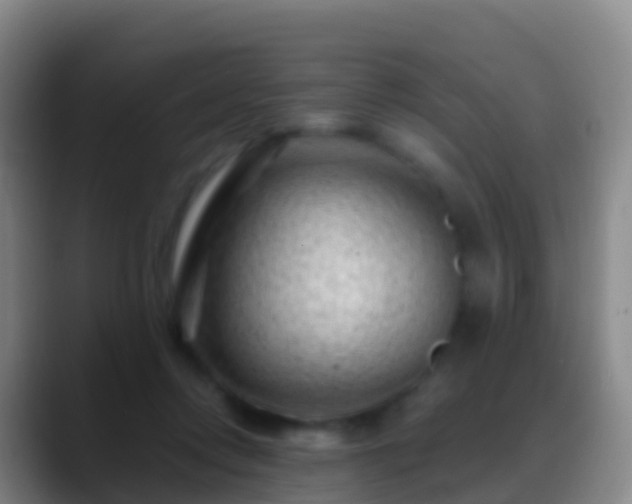 X0000088900358200706151852