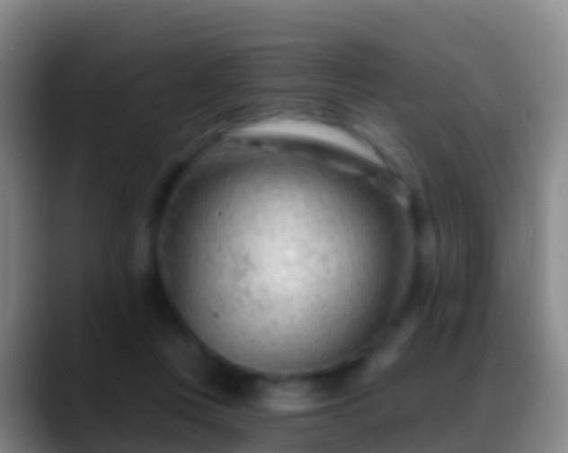 X0000088900359200706151852