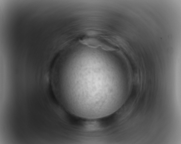 X0000088900363200706151852
