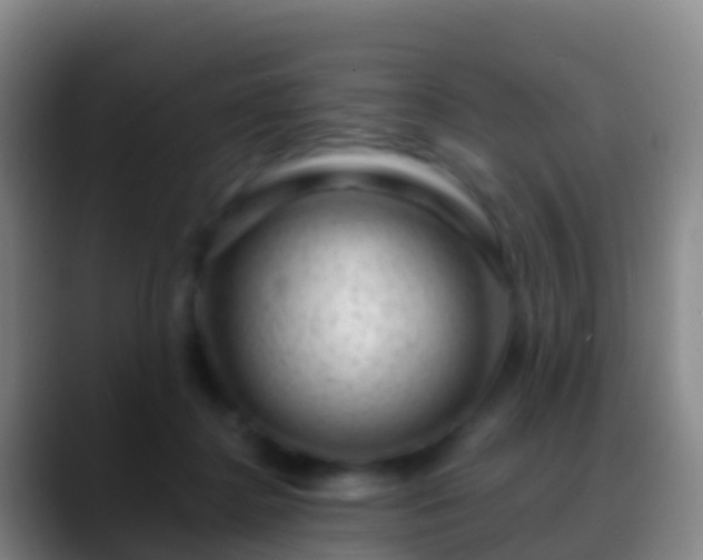 X0000088900364200706151852
