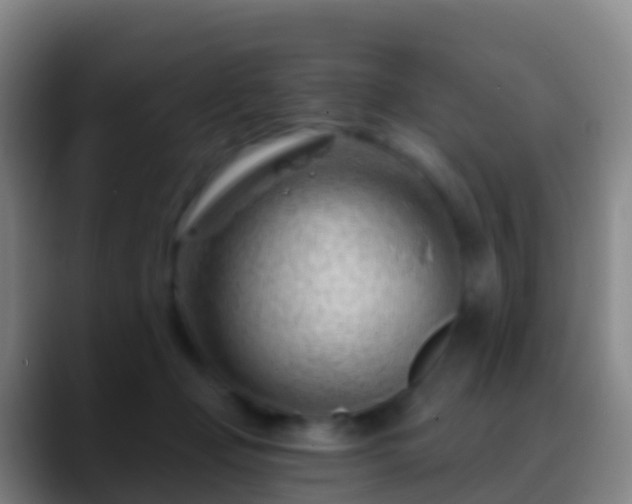 X0000088900365200706151852