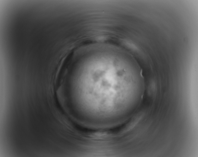 X0000088900366200706151852