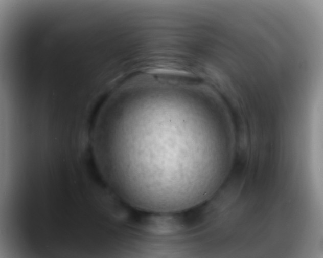 X0000088900367200706151852