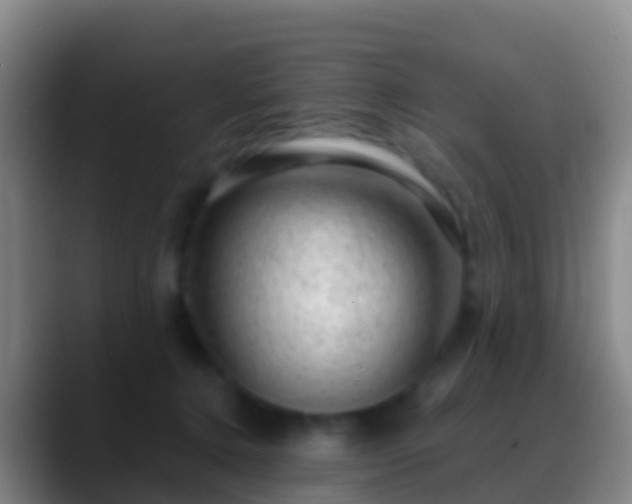 X0000088900368200706151852