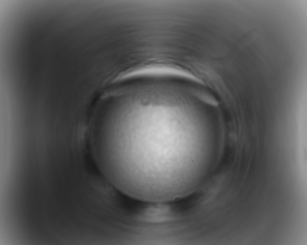 X0000088900369200706151852