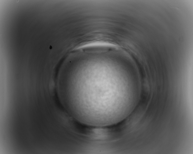 X0000088900371200706151852
