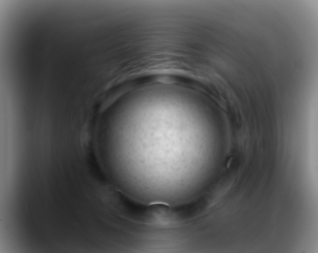 X0000088900372200706151852