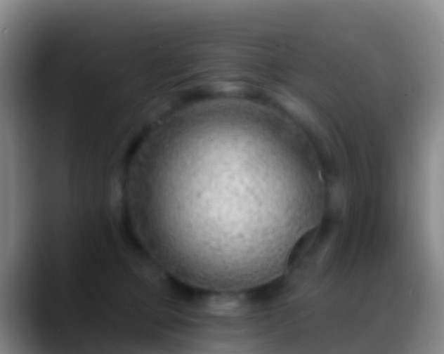 X0000088900373200706151852