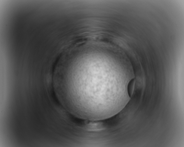 X0000088900375200706151852