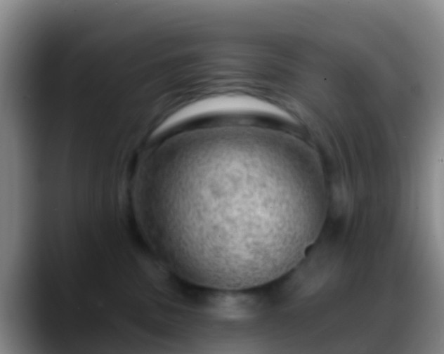 X0000088900379200706151852