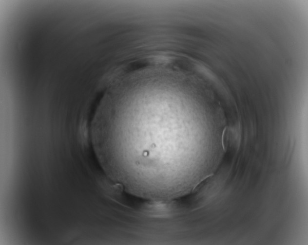 X0000088900381200706151852