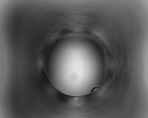 X0000088900382200706151852