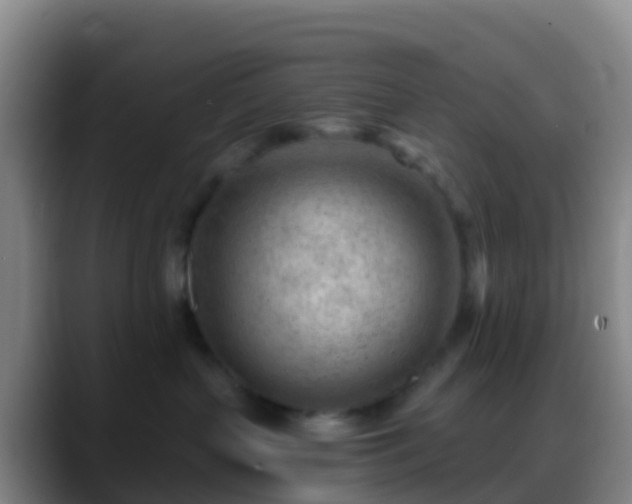 X0000088900383200706151852