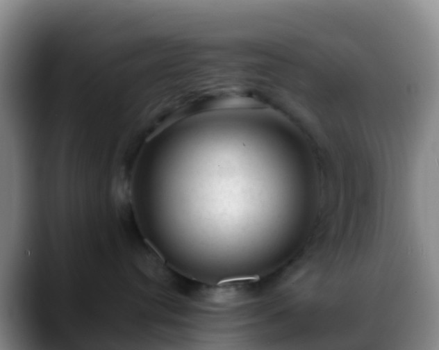X0000088900384200706151852