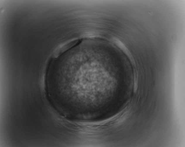 X0000088900387200706151852