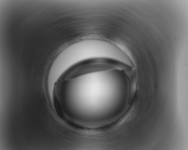 X0000088900389200706151852