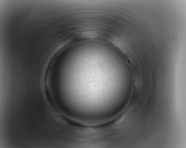 X0000088900390200706151852