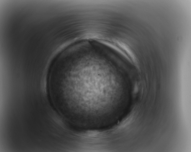 X0000088900391200706151852
