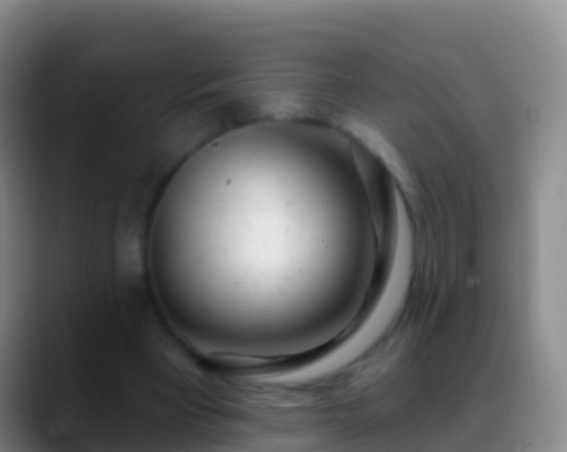 X0000088900393200706151852