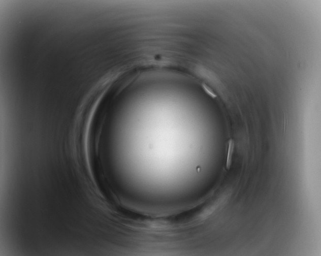 X0000088900395200706151852