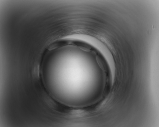 X0000088900397200706151852