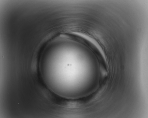X0000088900400200706151852