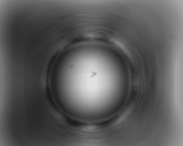 X0000088900402200706151851