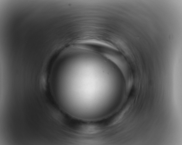 X0000088900404200706151851