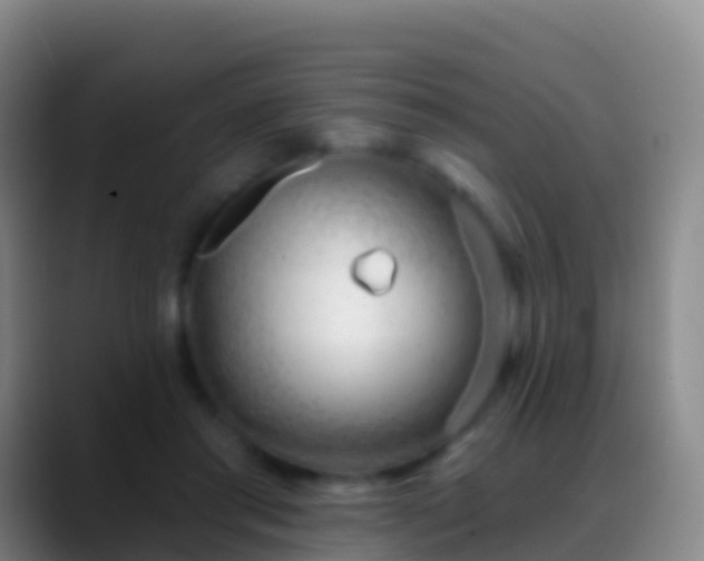 X0000088900405200706151851