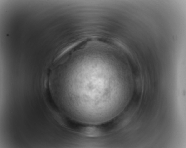 X0000088900406200706151851