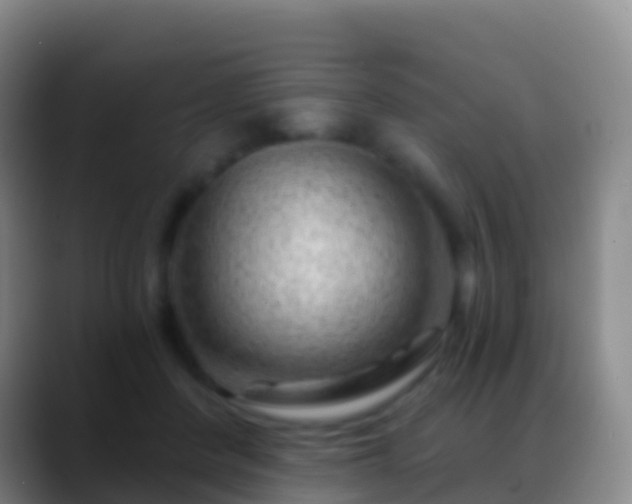 X0000088900408200706151851