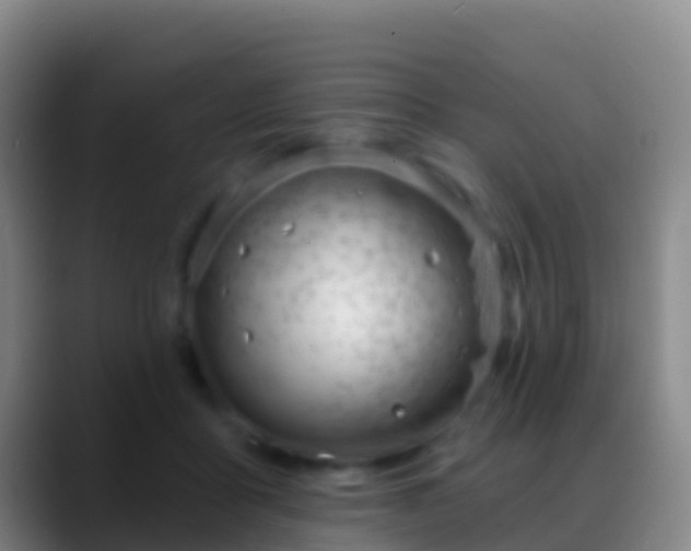 X0000088900411200706151851