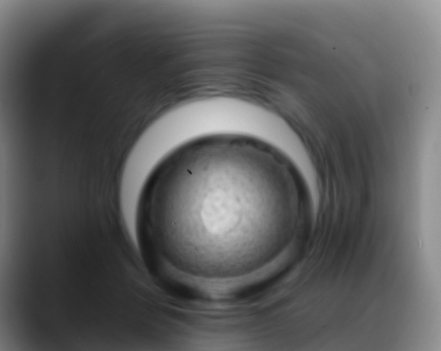 X0000088900412200706151851