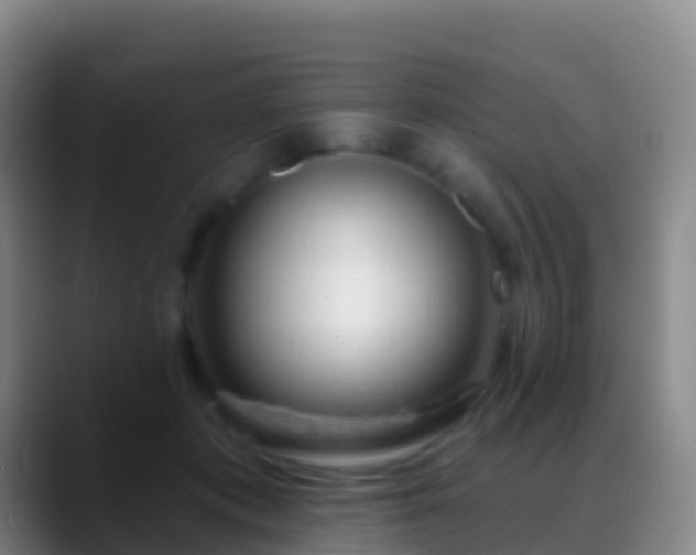 X0000088900413200706151851