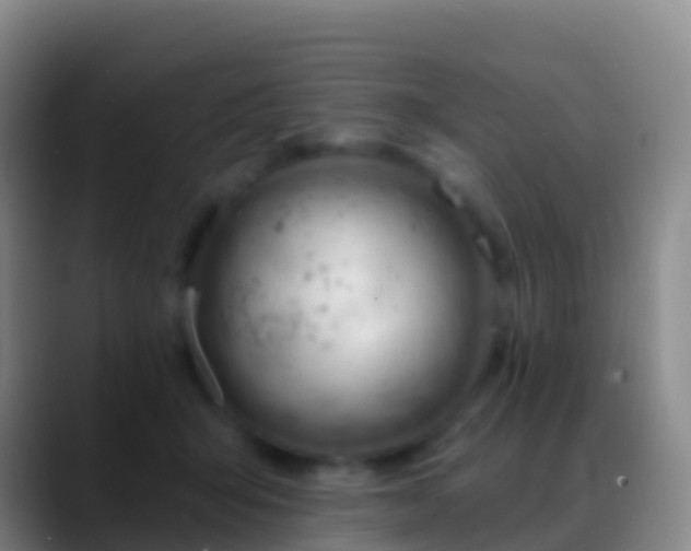 X0000088900415200706151851