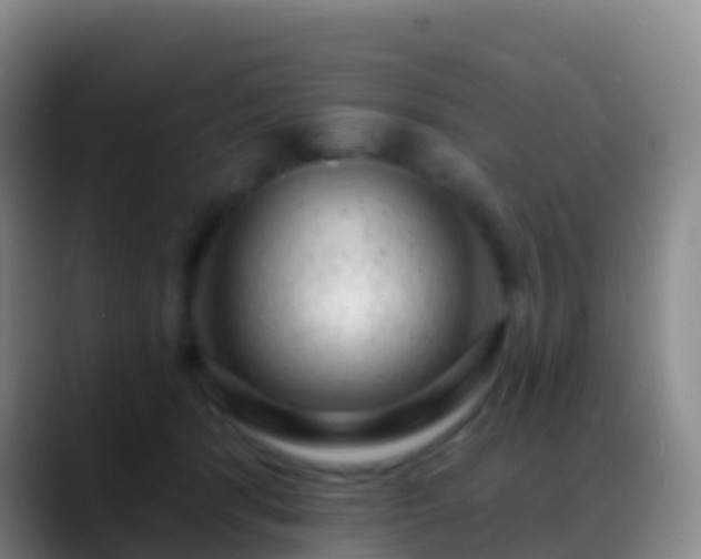 X0000088900416200706151851