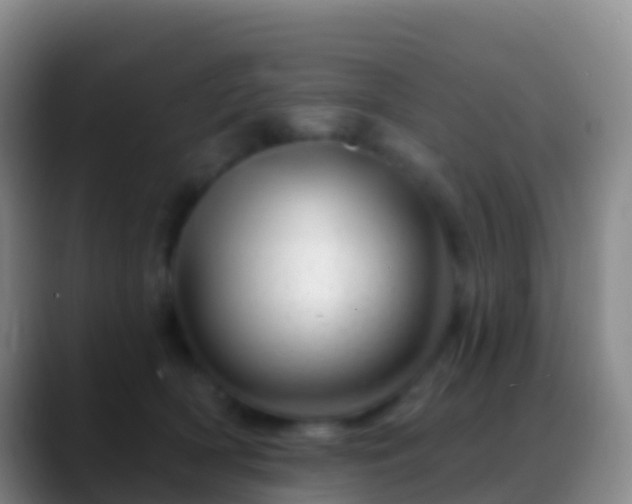 X0000088900418200706151851