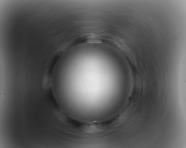 X0000088900419200706151851