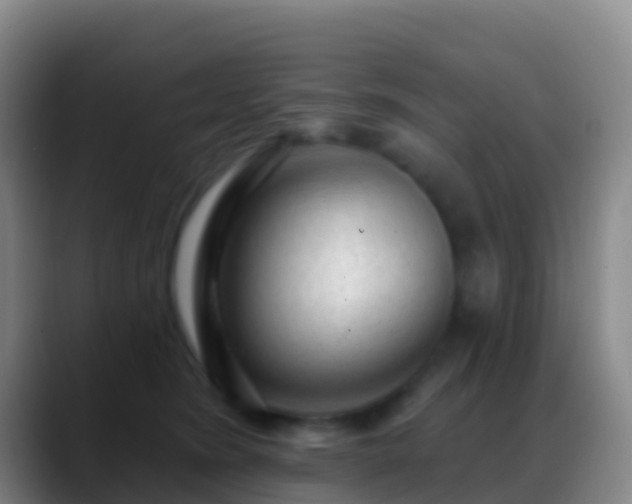 X0000088900420200706151851