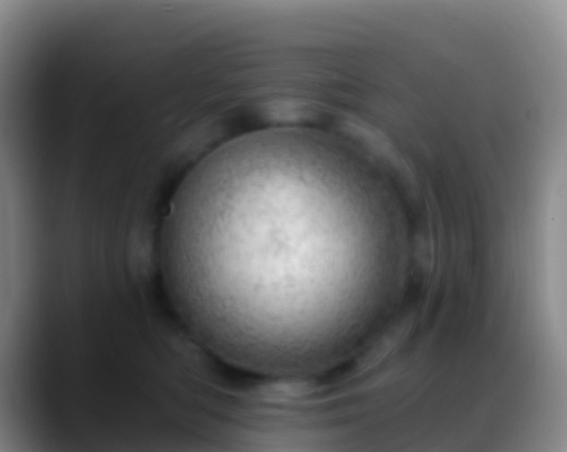 X0000088900422200706151851