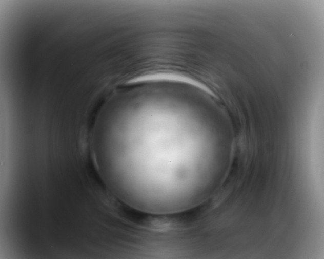 X0000088900423200706151851