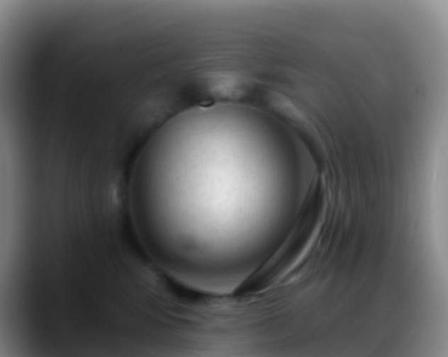 X0000088900424200706151851