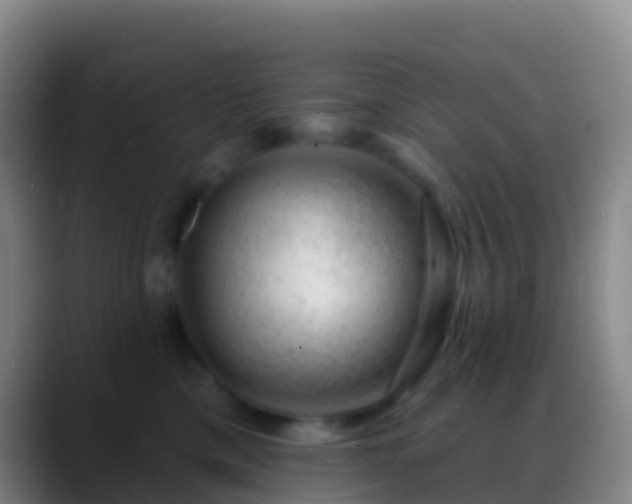 X0000088900425200706151851