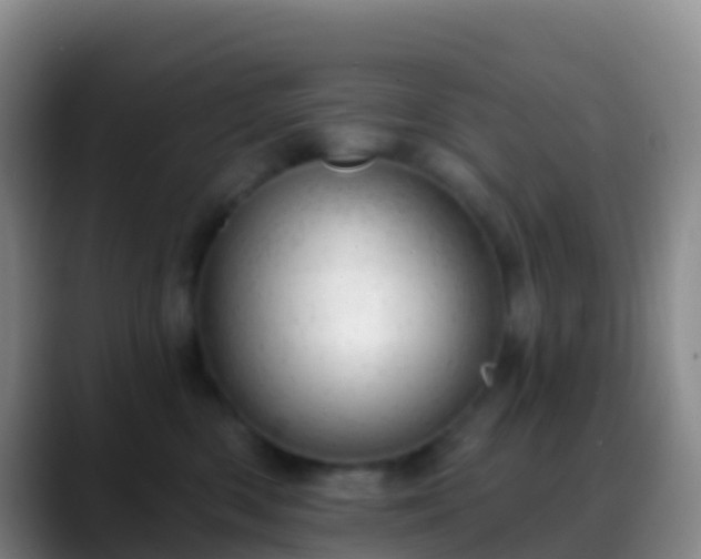 X0000088900426200706151851