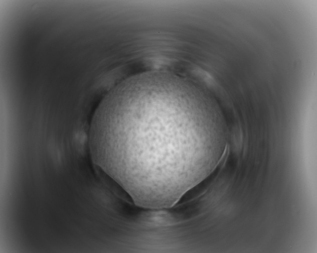 X0000088900427200706151851