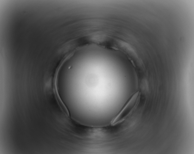 X0000088900428200706151851