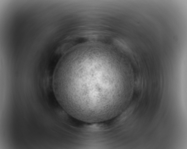 X0000088900430200706151851