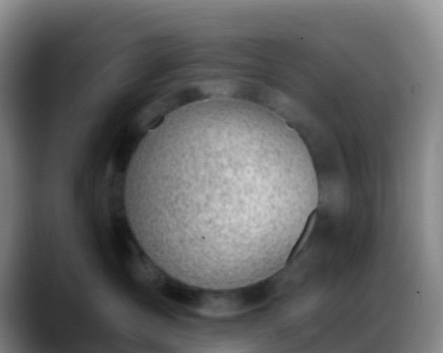 X0000088900431200706151851